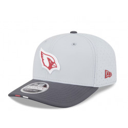ACA M 2025 NFL Training Camp 9S GRY OSFA